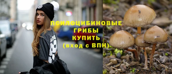эйфоретик Аркадак