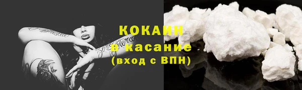 эйфоретик Аркадак