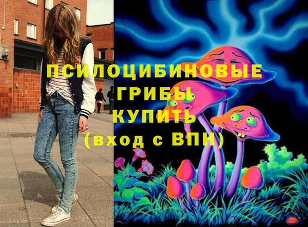 ГАЛЛЮЦИНОГЕННЫЕ ГРИБЫ Армянск
