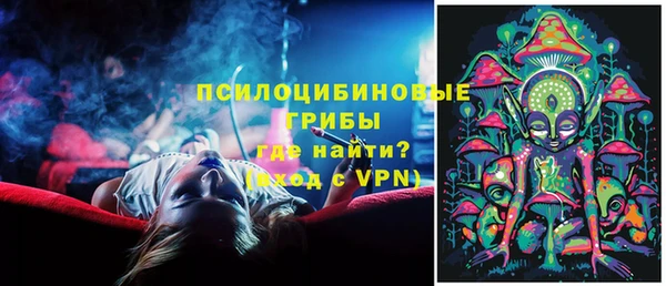 ГАЛЛЮЦИНОГЕННЫЕ ГРИБЫ Армянск