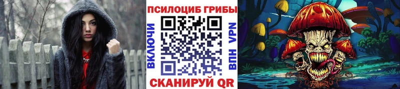 Псилоцибиновые грибы Psilocybine cubensis  наркотики  Новоалтайск 